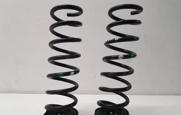 Rear coil spring