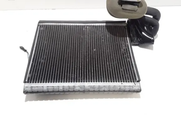 Land Rover Range Rover Sport L320 Heater blower radiator