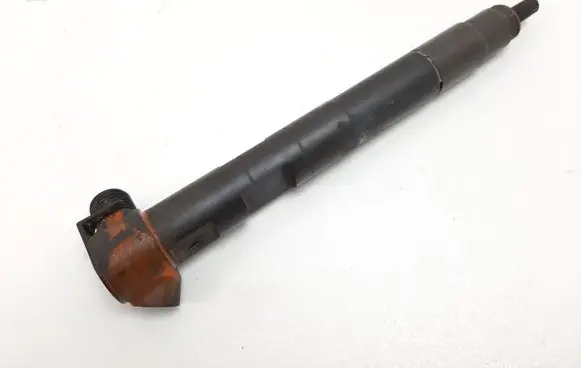Mercedes-Benz Sprinter W906 Fuel injector A6510703087