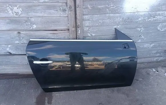 Renault Megane III Front door