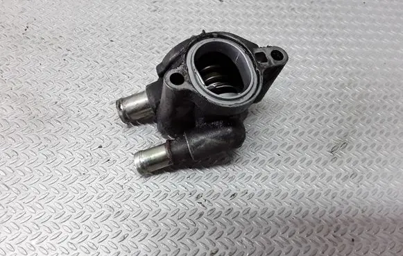 Thermostat/thermostat housing
