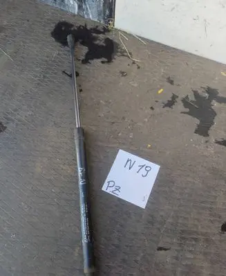 Chevrolet Lacetti Tailgate strut 298429