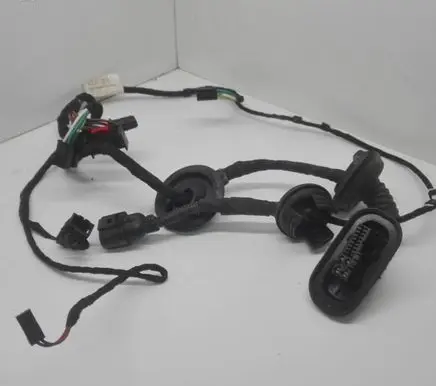 Front door wiring loom
