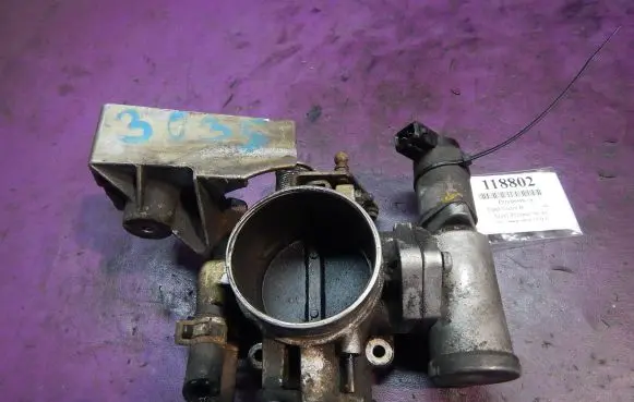 Throttle body valve