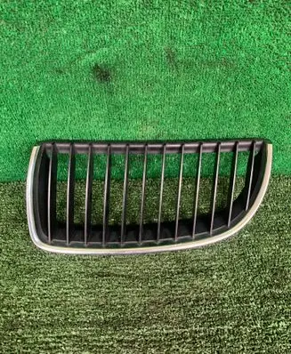 BMW 3 E90 E91 Front grill 22405910