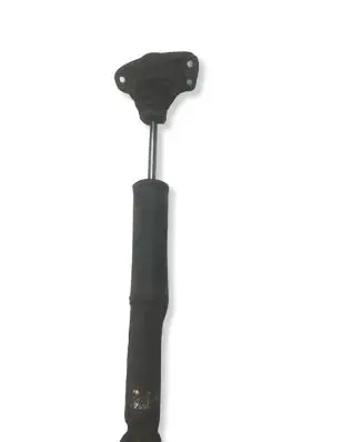 Volkswagen Golf V Rear shock absorber/damper 