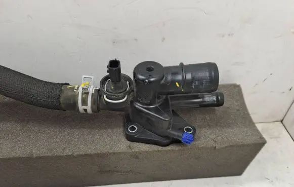Thermostat/thermostat housing