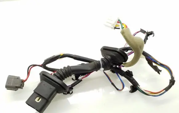 Rear door wiring loom