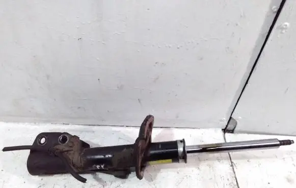 Chevrolet Captiva Front shock absorber/damper 7451286 96626304