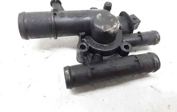 Thermostat/thermostat housing