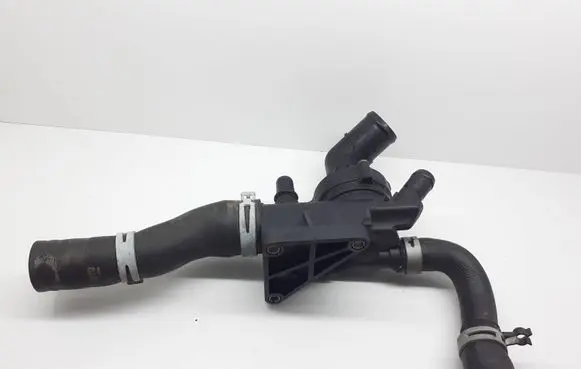 Nissan Qashqai Thermostat 110614599R