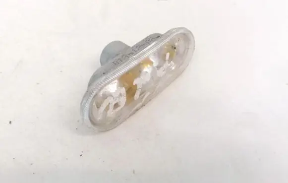 Front fender indicator light