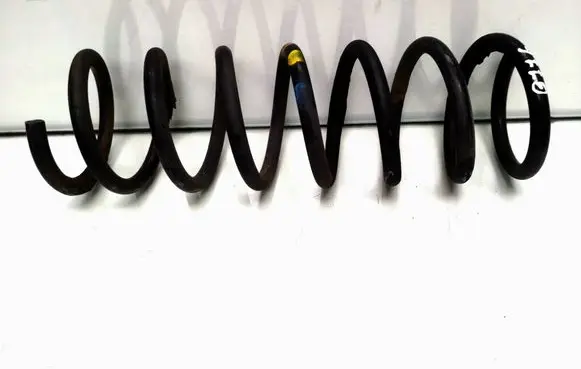 Rear coil spring