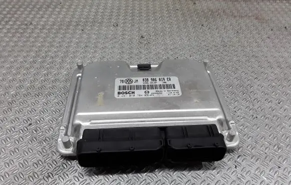 Volkswagen PASSAT B5.5 Engine control unit/module 038906019ER 0281010704