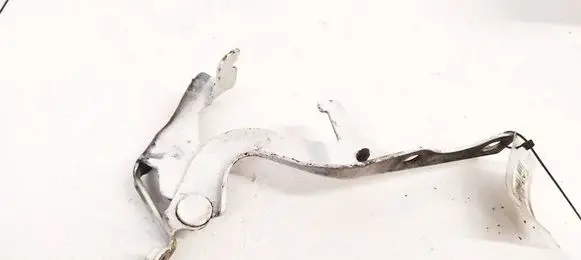 Toyota Corolla Verso AR10 Engine bonnet/hood hinges 