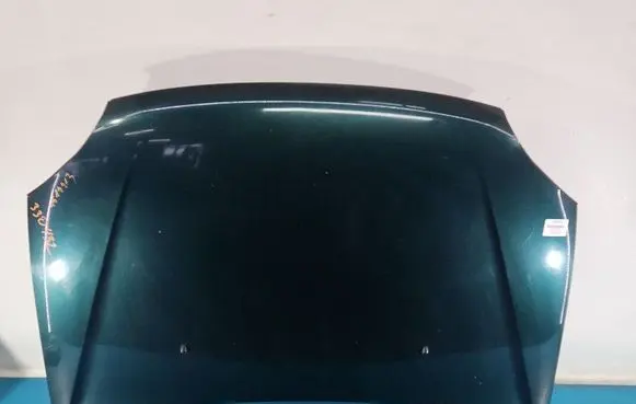 Engine bonnet/hood