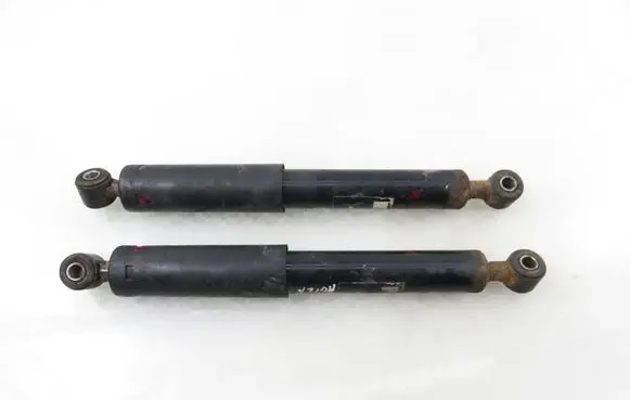 Suzuki Ignis Rear shock absorber/damper C003052
