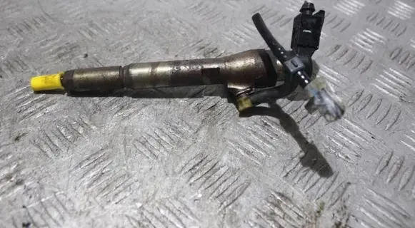 Renault Kangoo II Fuel injector 