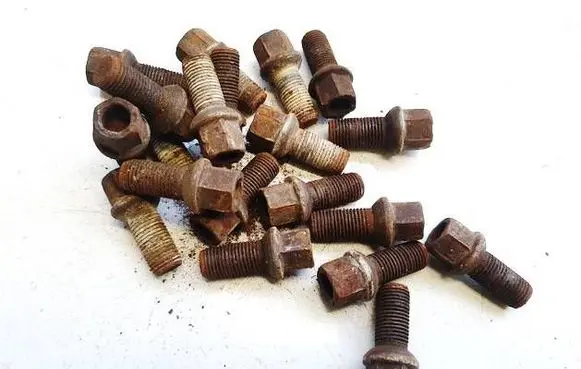 Volkswagen Golf V Nuts/bolts 
