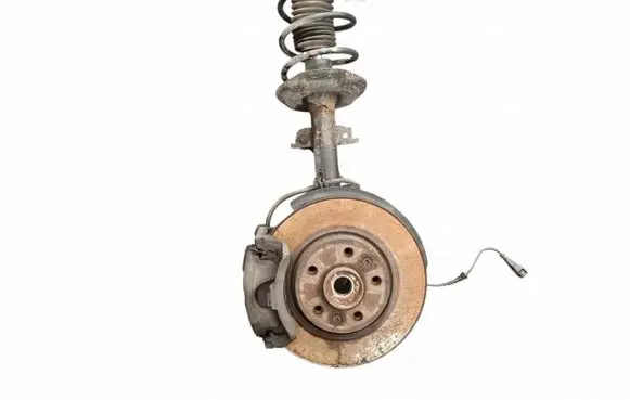 Renault Talisman Rear wheel hub 543029696R