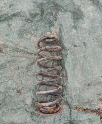 Rear coil spring
