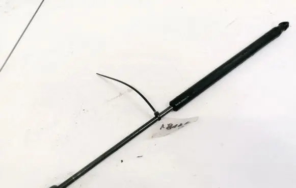 Front bonnet/hood damper/strut