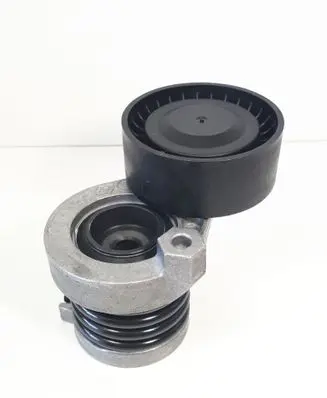 Nissan Qashqai Timing belt/chain tensioner 117501113R