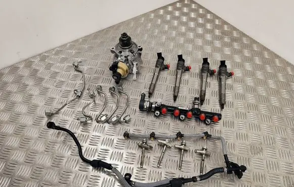 Renault Scenic IV - Grand scenic IV Fuel injection system set 167006205R 175217814R 0445110895