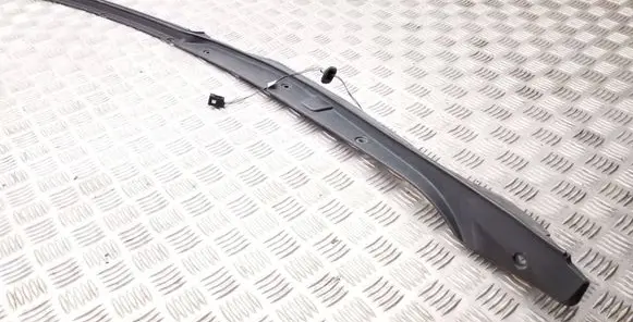 Other rear door trim element