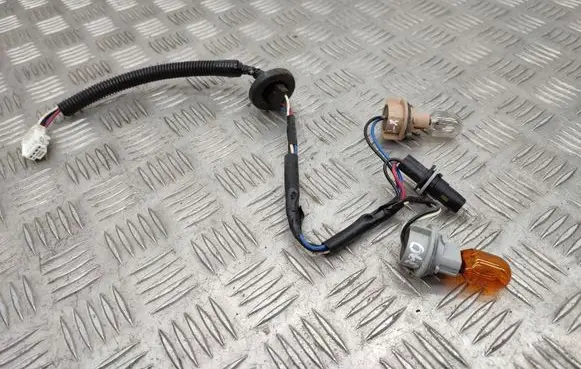 Nissan X-Trail T32 Tail light bulb cover holder