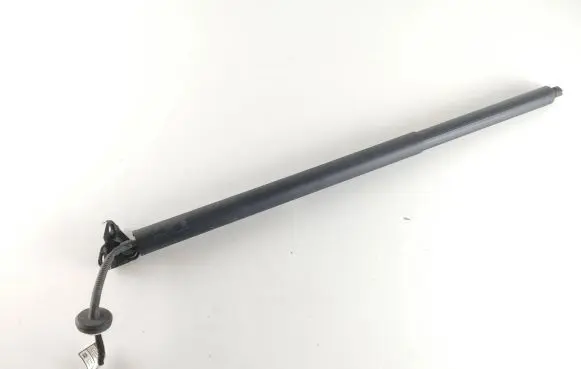 Ford Mustang Mach-E Tailgate/trunk/boot lift motor LJ8BR402A54AB