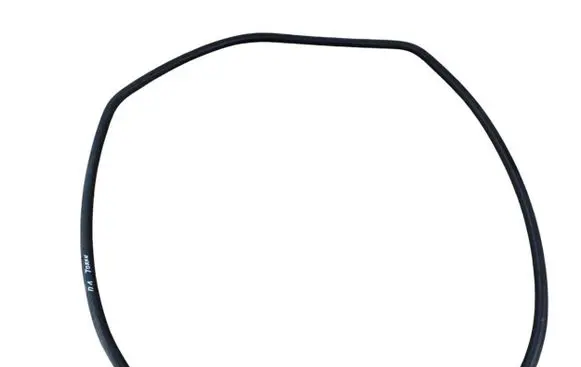Volkswagen Touran I Front door rubber seal 1T0867911E
