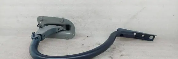 Tailgate/trunk/boot hinge