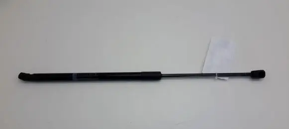 Tailgate strut