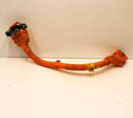 Hyundai Tucson IV NX4 Other wiring loom 91673P0100