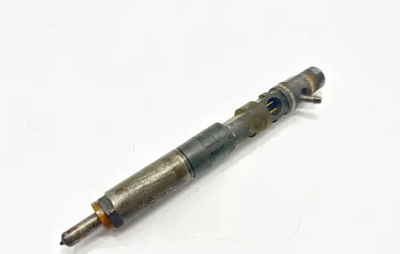 Renault Kangoo II Fuel injector 28237259 2430GF05W03