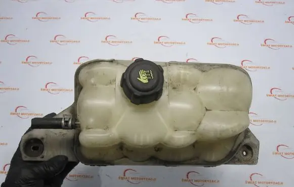 Nissan Juke I F15 Coolant expansion tank/reservoir 217101KK0A