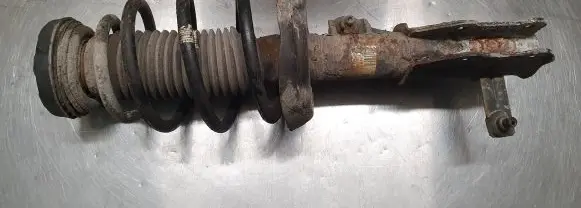 Opel Insignia A Front shock absorber with coil spring