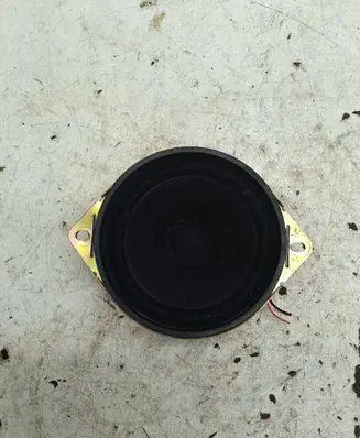 Panel speaker