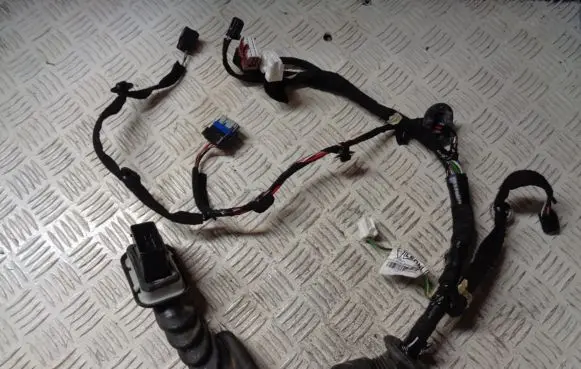 Dacia Duster II Front door wiring loom 241249946R