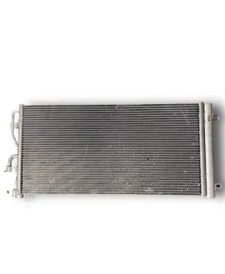 Opel Antara Air conditioning (A/C) radiator (interior) 42458588