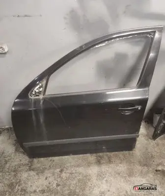Skoda Octavia Mk2 (1Z) Front door 