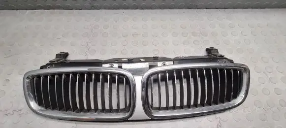 BMW 7 E65 E66 Front bumper upper radiator grill 7037727
