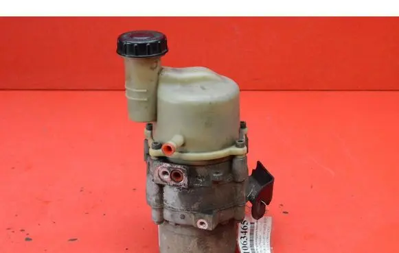Dacia Dokker Power steering pump 491100842R