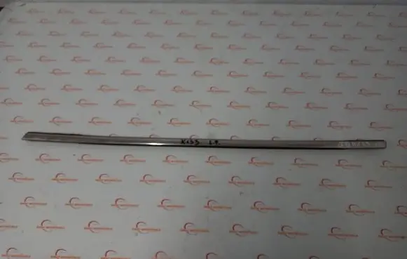 Ford B-MAX Front door windshield rail 