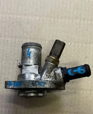 Thermostat/thermostat housing