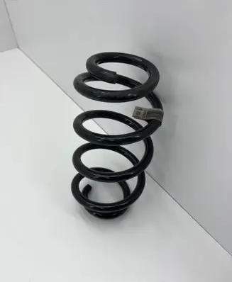 Rear coil spring