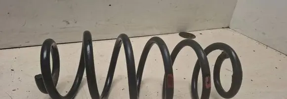 Rear coil spring