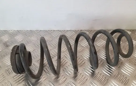Seat Leon (1M) Rear coil spring
