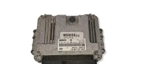 KIA Rio Engine control unit/module 391012A616 0281015461